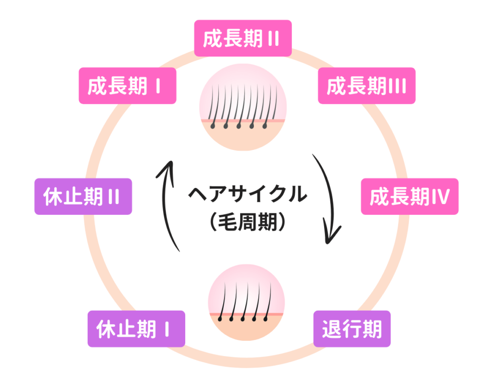 ヘアサイクルのイメージ画像